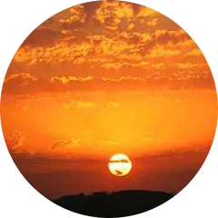 11zon_cropped (14) 11zon_cropped (14)
